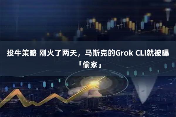 投牛策略 刚火了两天，马斯克的Grok CLI就被曝「偷家」